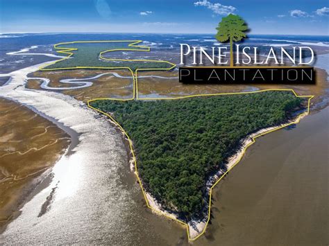 Pine Island Plantation Ranch For Sale In South Carolina 189826
