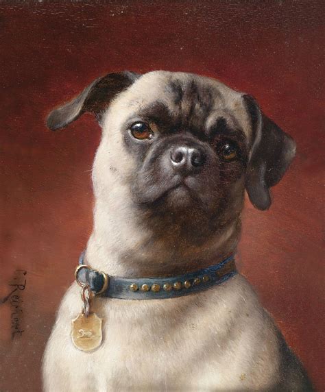 What Pugs Used To Look Like Before Inbreeding Rpics