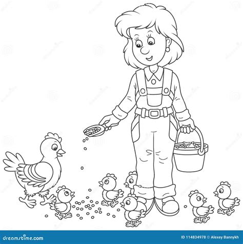 Poultry Woman Feeding Chickens Stock Vector Illustration Of Girl Clipart 114834978