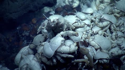 Bbc Two Atlantic The Wildest Ocean On Earth Mountains Of The Deep