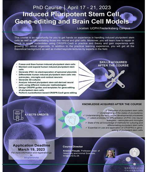 Induced Pluripotent Stem Cells Gene Editing And Brain Cell Models 2023