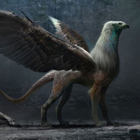 Unaccepted Griffin For Fantasticbeasts2 Drawing Creature