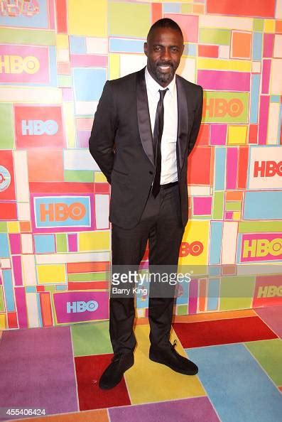 Actor Idris Elba Attends Hbos 2014 Emmy After Party At The Plaza At