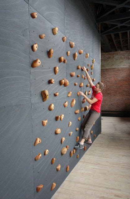Indoor Climbing Wall Climbing Gym Bouldering Wall Climbing Holds