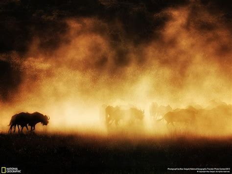 Best Photos Of National Geographic Traveler Photo Contest 2013 30