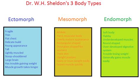 Endomorph Diet For Constructing Muscle