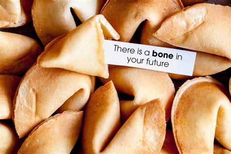 Are Fortune Cookies Safe For Dogs