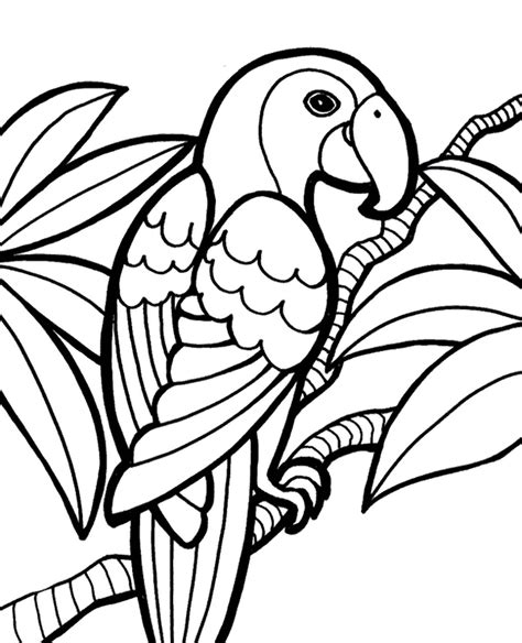 African Parrot Coloring Page Free Download