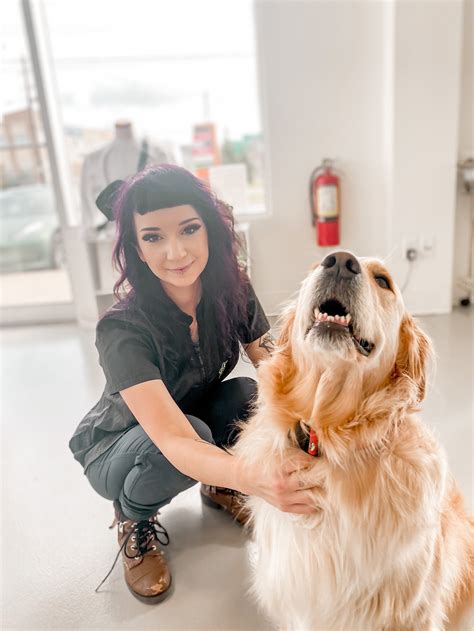 Grooming — Dream Dog