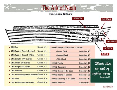 The Ark Of Noah Bible Study Scripture Personal Bible Study Bible