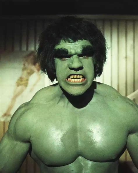 The Incredible Hulk Tv Show 1970s 1980s Lou Ferrigno Incredible Hulk