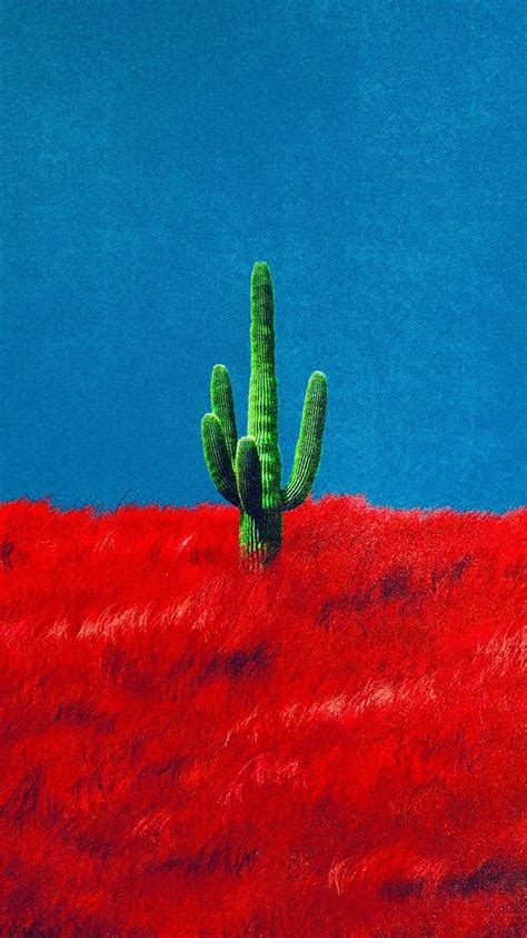 Travis Scott Cactus Wallpapers Top Free Travis Scott Cactus