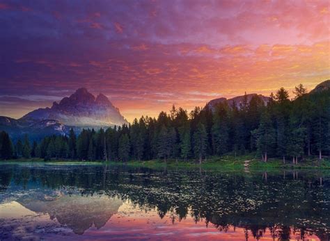 Online Crop Pine Trees And Body Of Water Nature Landscape Sunset