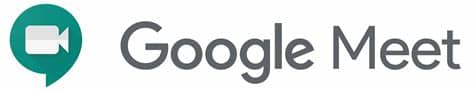 Google meet icons ( 991 ). Google Meet