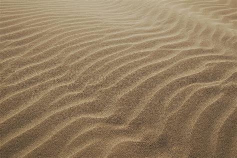 The World Is Facing A Global Sand Shortage And It's Sparking MAJOR ...