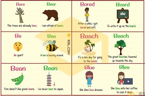 List Of 300 Homophones From A Z With Useful Examples Efortless English