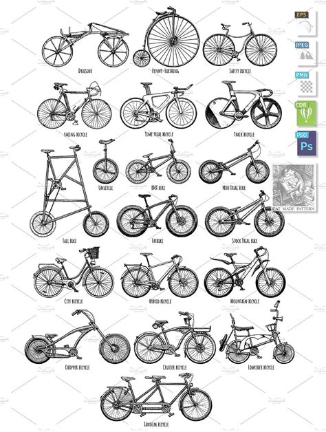 Types Of Bikes Bicycle Types Lowrider Bicycle Bicycle Art