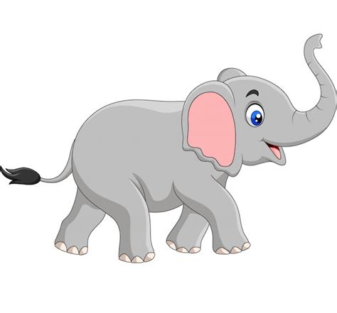 Elefante De Dibujos Animados Aislado Vector Premium
