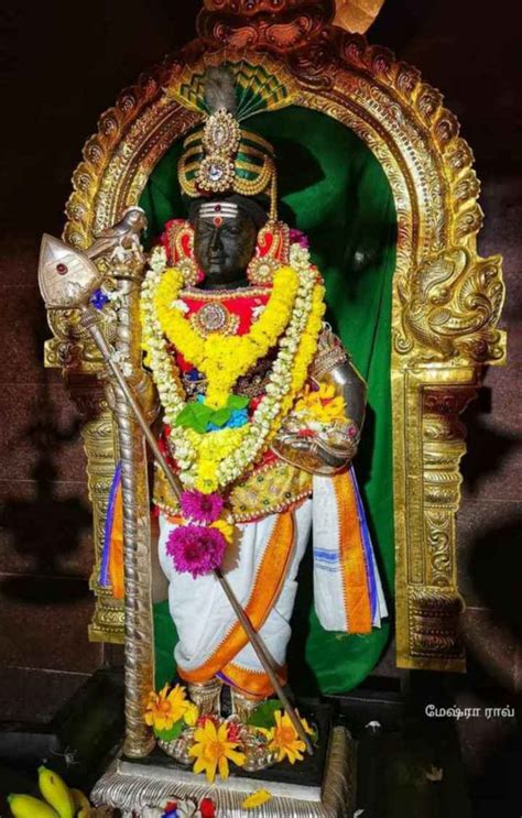Best Palani Murugan Images Videos In Palani Murugan Temple Whatsapp Group Facebook