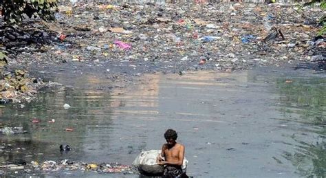 Floating Devices Designed To Help Clear Mumbais Rivers Of Their