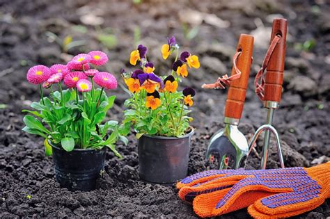 How To Grow A Beautiful Flower Garden Zesty Things