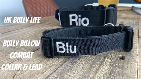 BULLY BILLOWS COMBAT COLLAR & LEAD ARRIVE - UBL - YouTube
