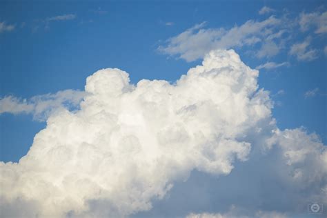 Cumulus Clouds Background High Quality Free Backgrounds
