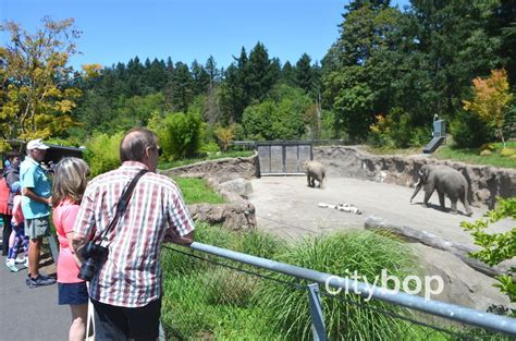 10 Best Things To Do At Oregon Zoo Citybop