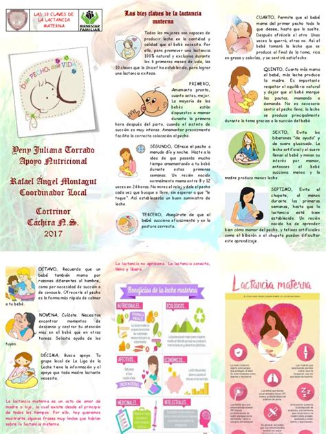 folleto 10 claves lactancia materna juliana torrado pdf amamantamiento bienestar