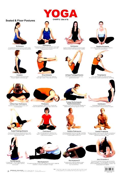 Basic Beginner Yoga Poses Work Out Picture Media Work Out Picture Media