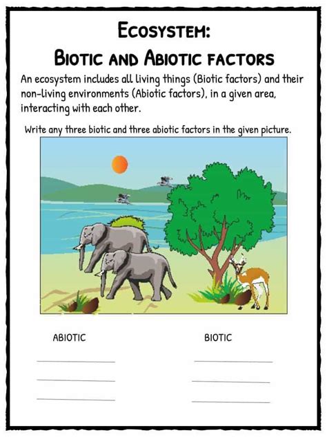 One example of this is the archaea found in extreme environments that utilize the biotic factors for their survival and growth. 34 Components Of An Ecosystem Worksheet Answers ...