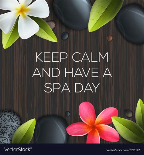 Keep Calm And Have A Spa Day Royalty Free Vector Image