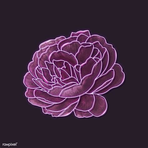 Purple Neon Rose On A Black Background Mockup Premium Image By