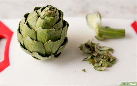 De longitud las alcachofas se cultivan por sus frutos. Cómo cocinar alcachofas: 11 pasos - wikiHow