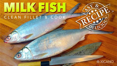 Milk Fish Bangus How To Clean Fillet And Cook Youtube