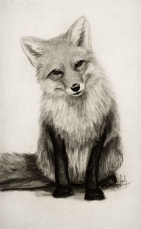 Fox Pencil Drawing At Getdrawings Free Download