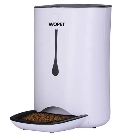 The 9 Best Automatic Cat Feeders of 2020