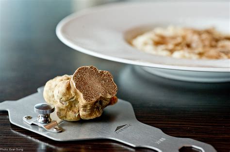 White Truffle Prices Have Quadrupled Expect Pricey Pastas This Fall