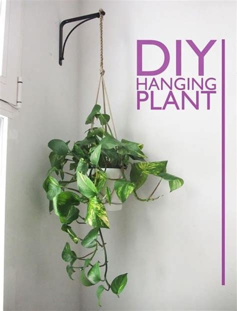 Mar 05, 2016 · once you know what you want, make a rough pencil sketch of the room and where you'd like to place things. 30+ Perfect and Beautiful Hanging Bathroom Plants Decor ...