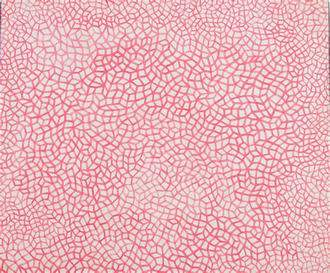 Yayoi Kusama Infinity Nets H Signed Titled And Dated On The