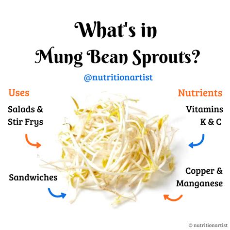 Mung Bean Sprouts Kale And King Oyster Mushroom Vegan Stir Fry Recipe