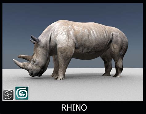 Rhino 3d Model