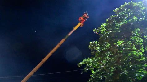 Two Year Old Girl Tied To Pole Dangled Upside Down In Thailand Video The Cairns Post