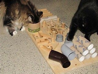 Shari brown of pittsburgh's veterinary specialty and emergency center. aus Toilettenpapierrollen eine Pyramide basteln | Katzen ...
