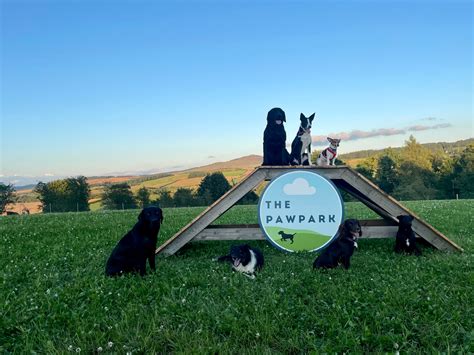 Exclusive Use Dog Playpark | The Pawpark