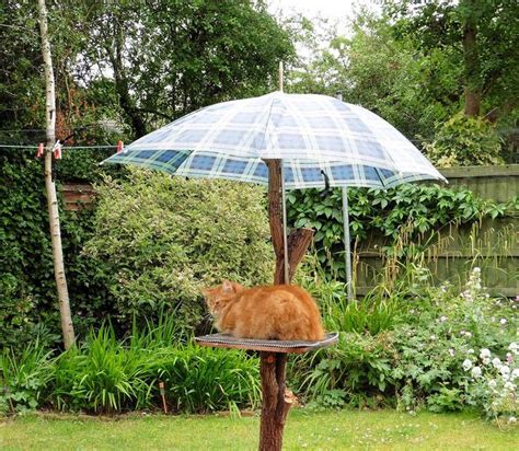 Protectapet Ltds Photos Shady Cat Cat Garden Cat Enclosure Cats
