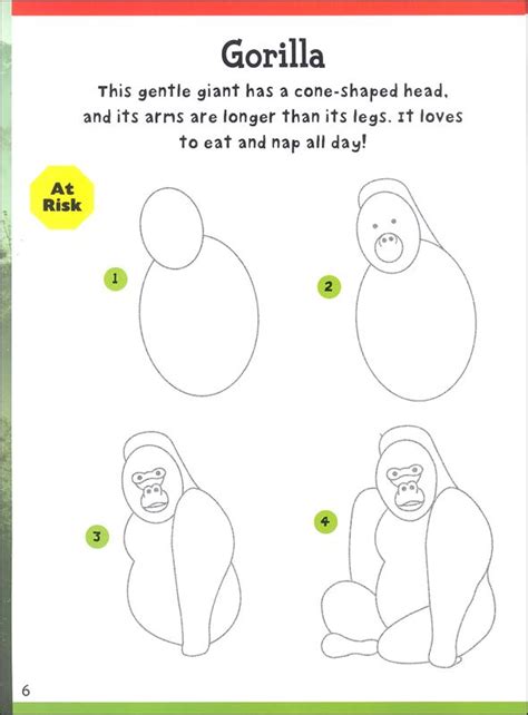 How to draw rainforest animals easy. How To Draw Jungle Animals Step By Step Easy - Drawing Art Ideas