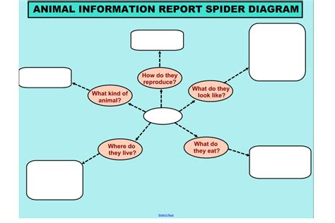 Animal Information Report Spider Diagram | Interactive lessons, Animals information, Information 