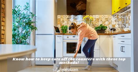 Remove some of the temptations by not leaving food, crumbs, or other treats on the in this type of situation, the specialist will likely visit your home to assess the situation and come up with new behavior modification techniques to help you keep your cat off the countertop. Know how to keep cats off the counters with these top ...