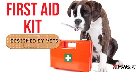 Canine First Aid Kit Designed By Vets Sit Means Sit Dog Training